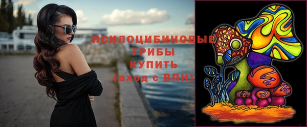 крисы Абаза