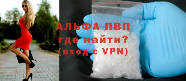 крисы Абаза