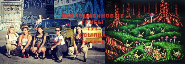 spice Абинск