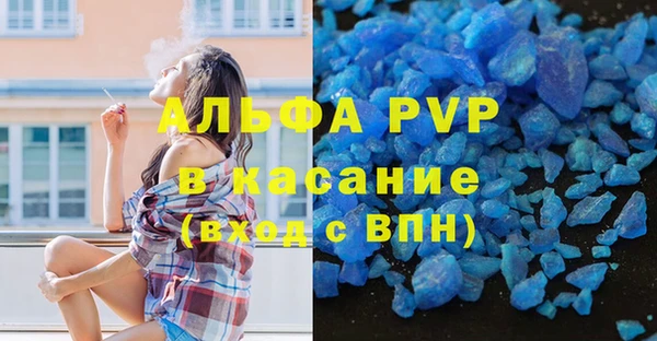 крисы Абаза
