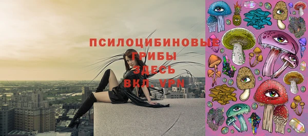 spice Абинск