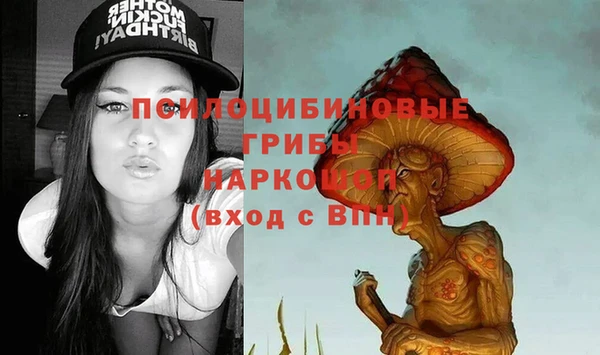 spice Абинск