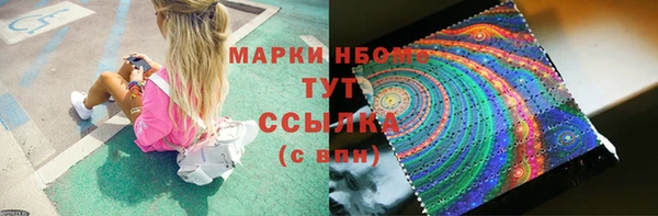 крисы Абаза