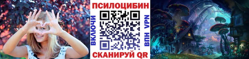 Псилоцибиновые грибы Magic Shrooms  блэк спрут ссылки  Щёкино 